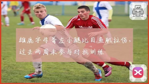 雄鹿字母哥左小腿比目鱼肌拉伤,过去两周未参与对抗训练
