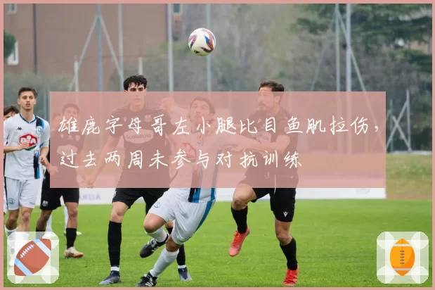 雄鹿字母哥左小腿比目鱼肌拉伤,过去两周未参与对抗训练